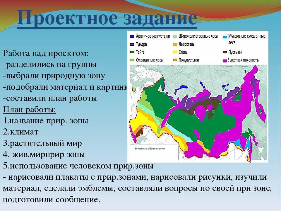 Доклад на тему климат россии 8 класс сообщение