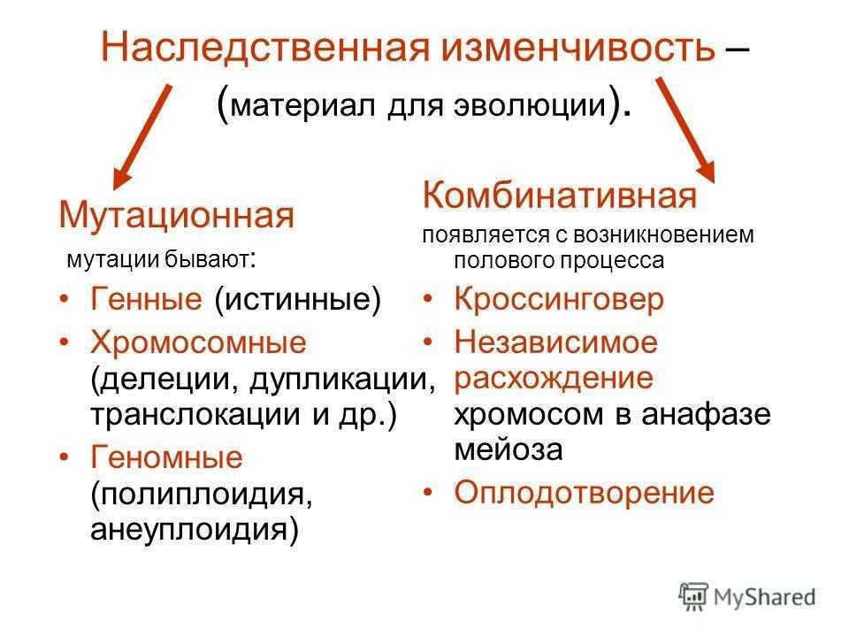 Глава 6