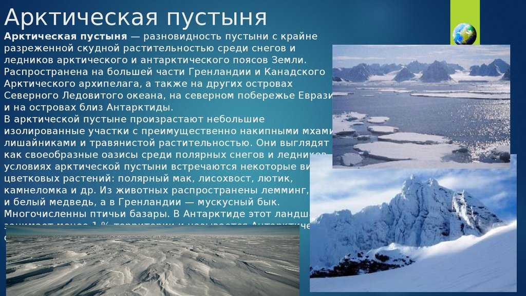 Арктика - сообщение доклад (4, 5, 7, 8 класс окружающий мир)