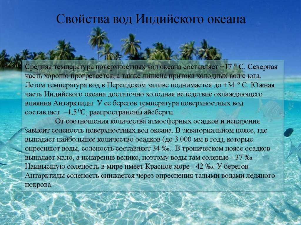 Индийский океан