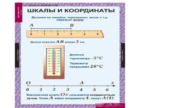 Что такое единичный отрезок из 6 клеток?