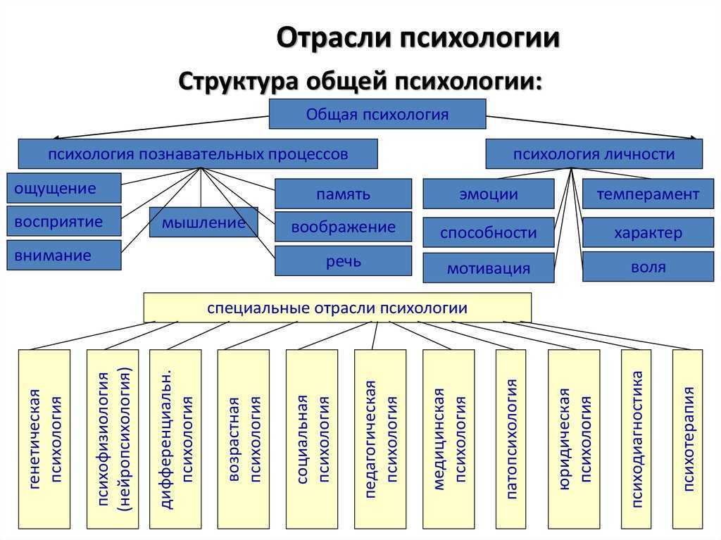 Отрасли психологии как инструмент исследования аспектов психики