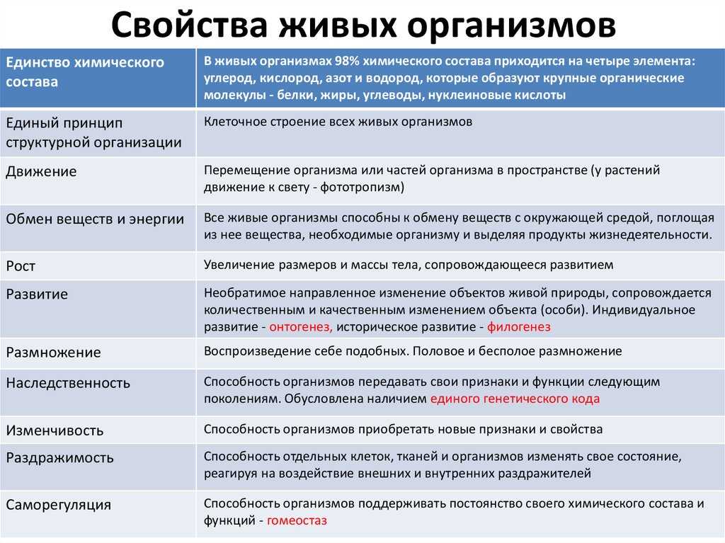Характеристика