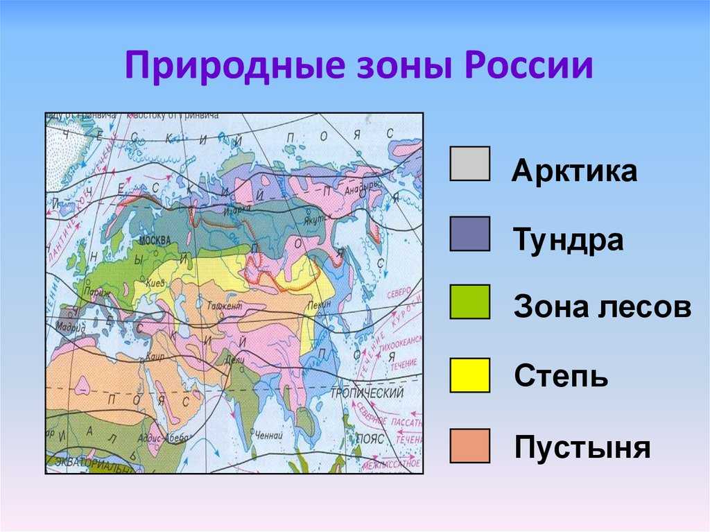 Презентация на тему "тема урока «хозяйство. население тундры и его основные занятия»"