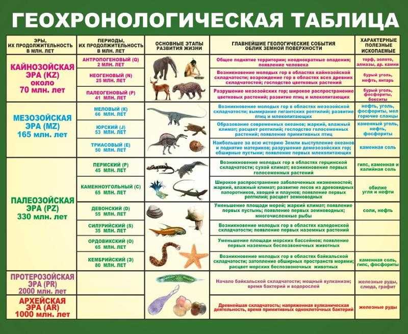 Периоды эры: характеристики, классификация, примеры