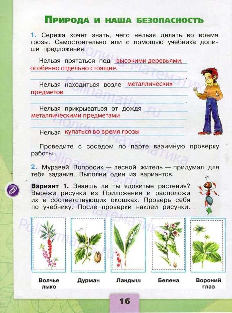 Рассказ про любое растение 3 класс кратко