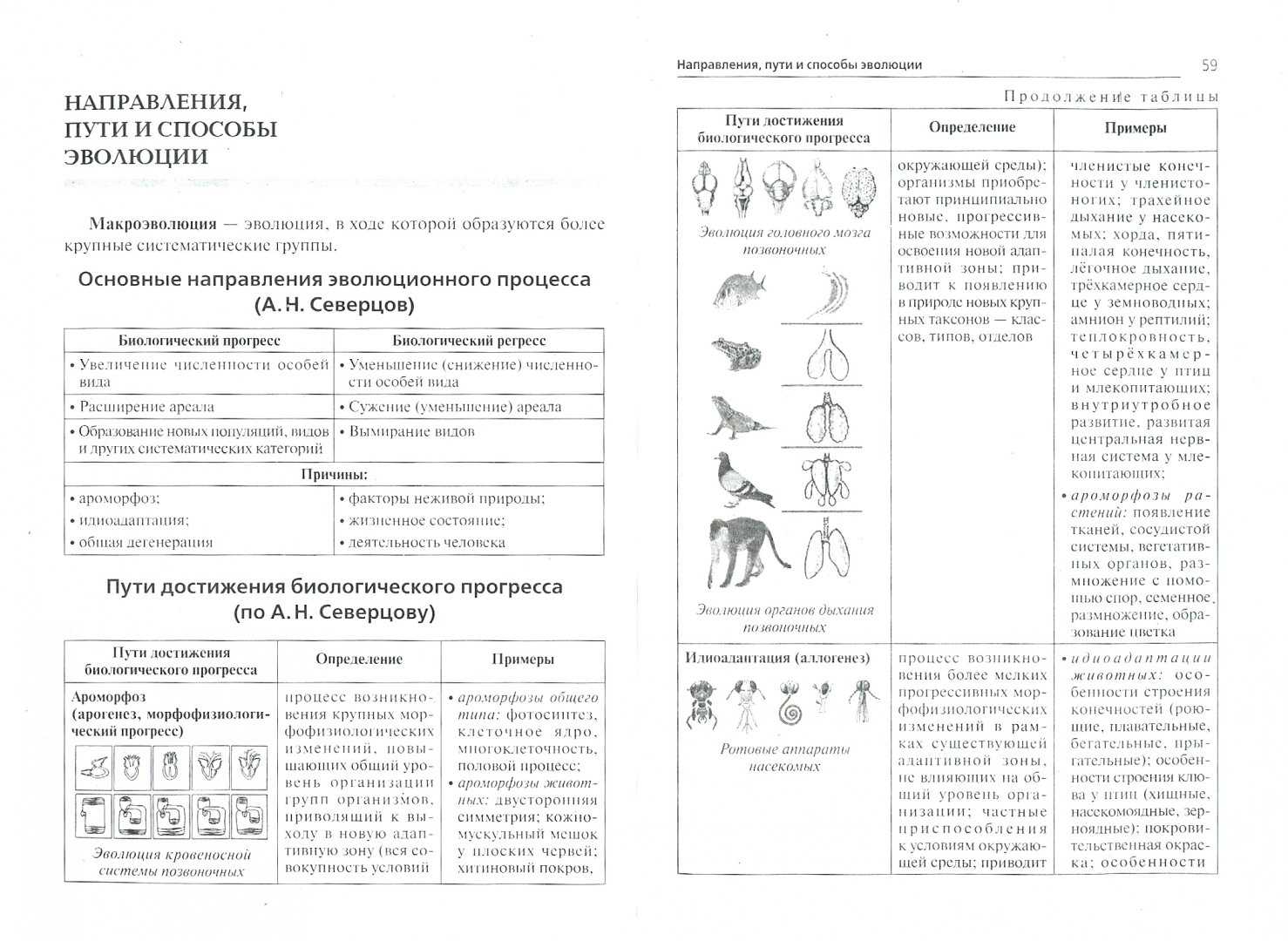 Кишечнополостные животные на сайте игоря гаршина. двуслойные радиально-симметричные
