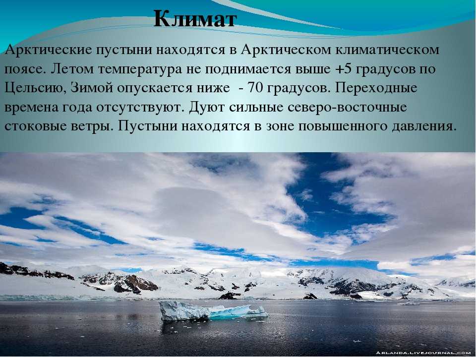 Дайте сравнительную характеристику белого и черного морей