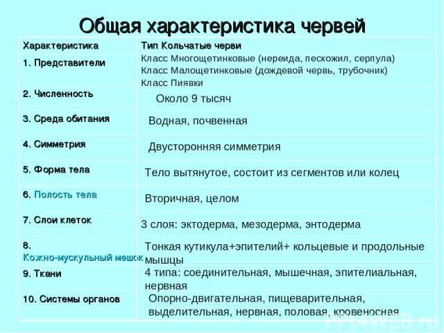 Кольчатые черви: системы органов, регенерация и значение в природе > лаборатория фитоинвазий