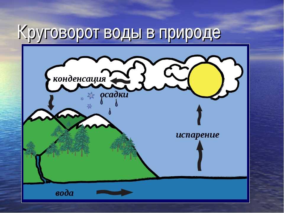 Круговорот воды в природе - определение, схема, как происходит, значение