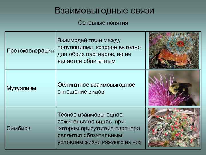 Окружающий мир 3 класс 1 часть. что такое экология стр. 24 – 28