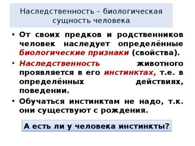 Что такое наследственность 6 класс: краткое объяснение