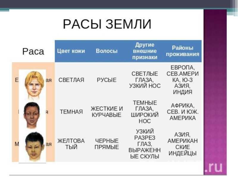 Чем народ отличается от нации. чем отличаются народы друг от друга: внешние отличия, культура, страны, языки