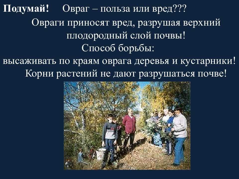 Предложи меры по борьбе с оврагами - узнавалка.про