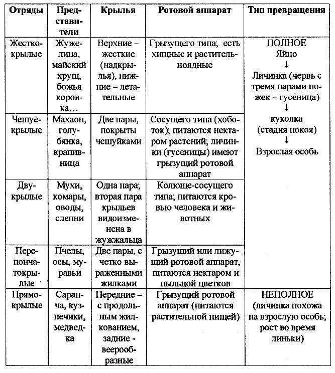 Членистоногие насекомые