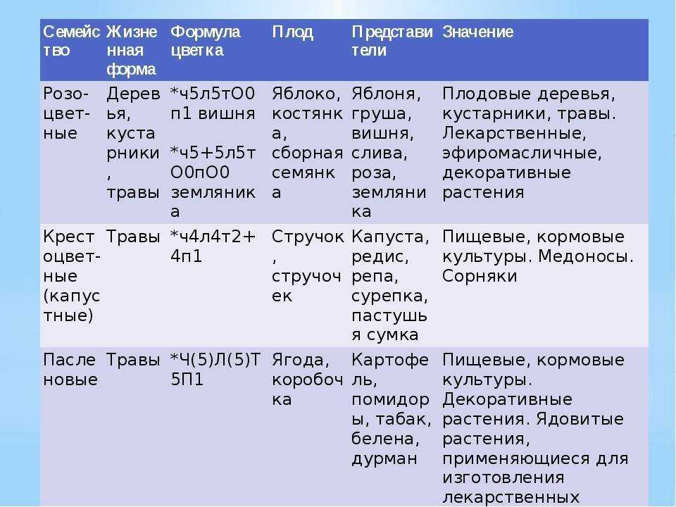 ✅ технология выращивания гороха на зерно в открытом грунте