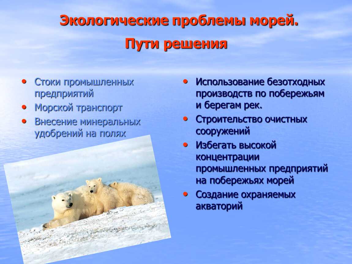 Экологические проблемы черного моря и его берегов