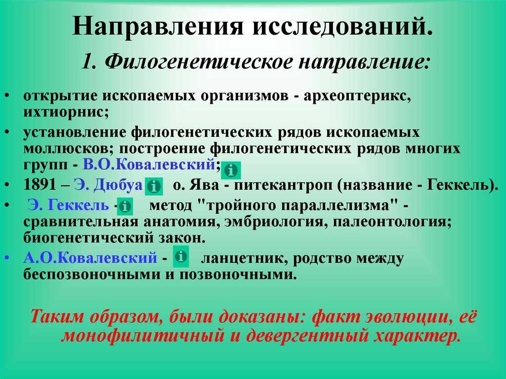 Филогенез (филогения) в систематике организмов, таксоны