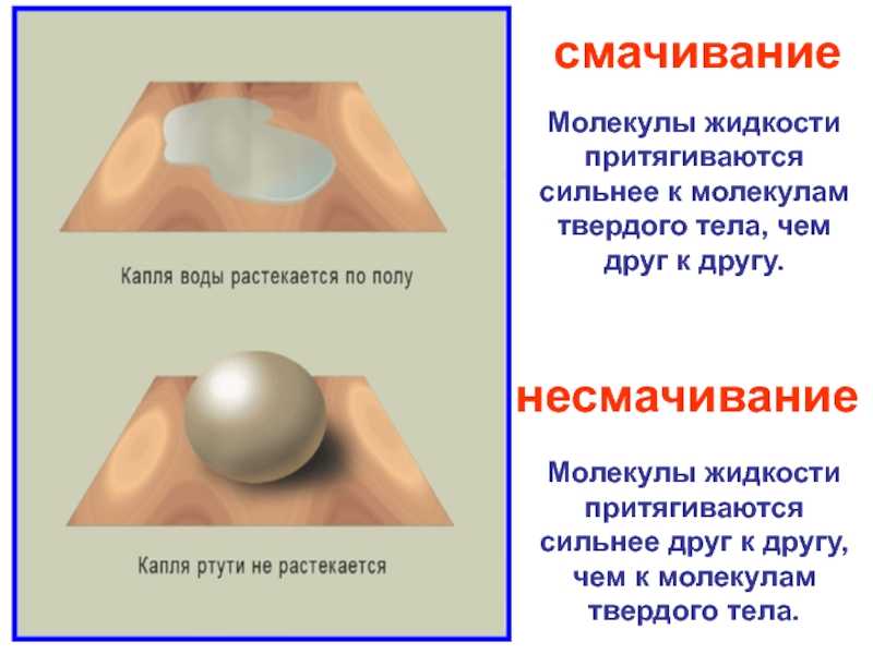 Что такое смачивание и несмачивание в физике 7 класс
