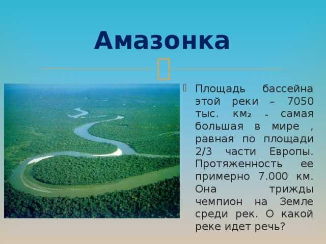 Питание реки амазонка: основные источники питательных веществ и воздействие на экосистему