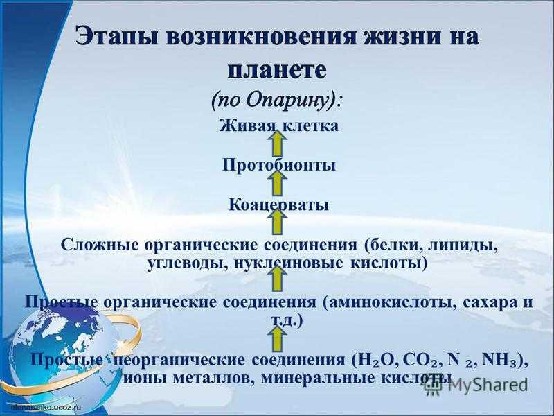 Возникновение ⭐️ жизни, биология, 9 класс: теории происхождения жизни