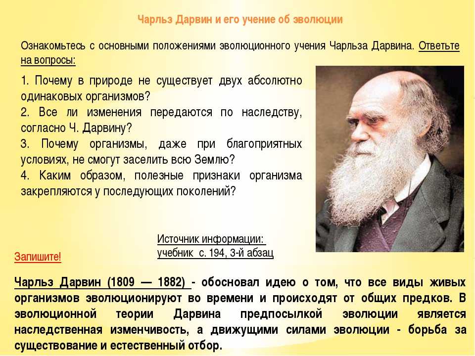 История происхождения человека на земле