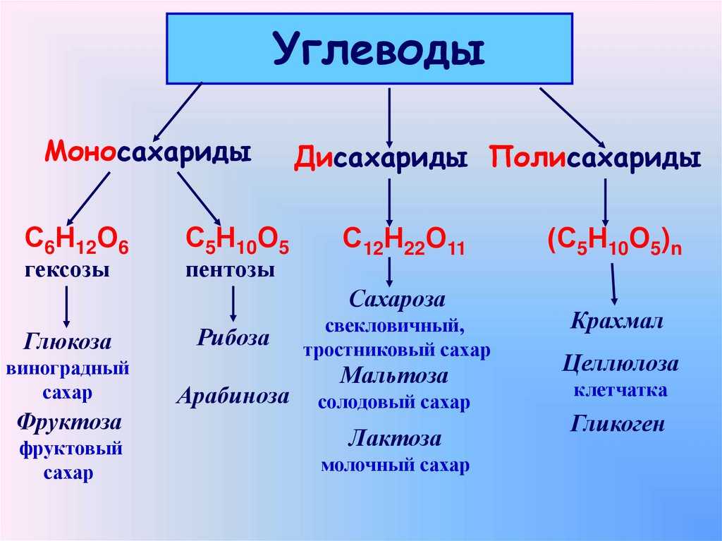 Разница между дезоксирибозой и рибозой - новости 2023