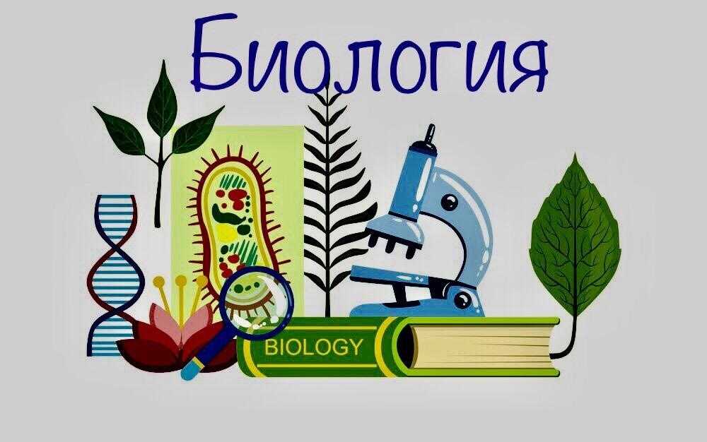 Биология 8 класс. пасечник
