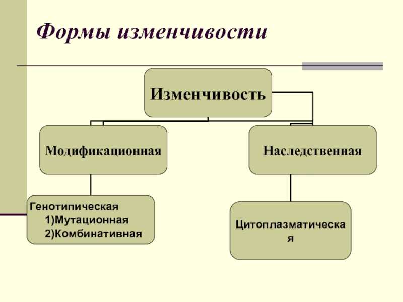 Теория эволюции ч. дарвина. формы естесственного отбора презентация, доклад, проект на тему