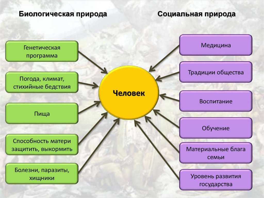 Урок 8: человек и природа - 100urokov.ru