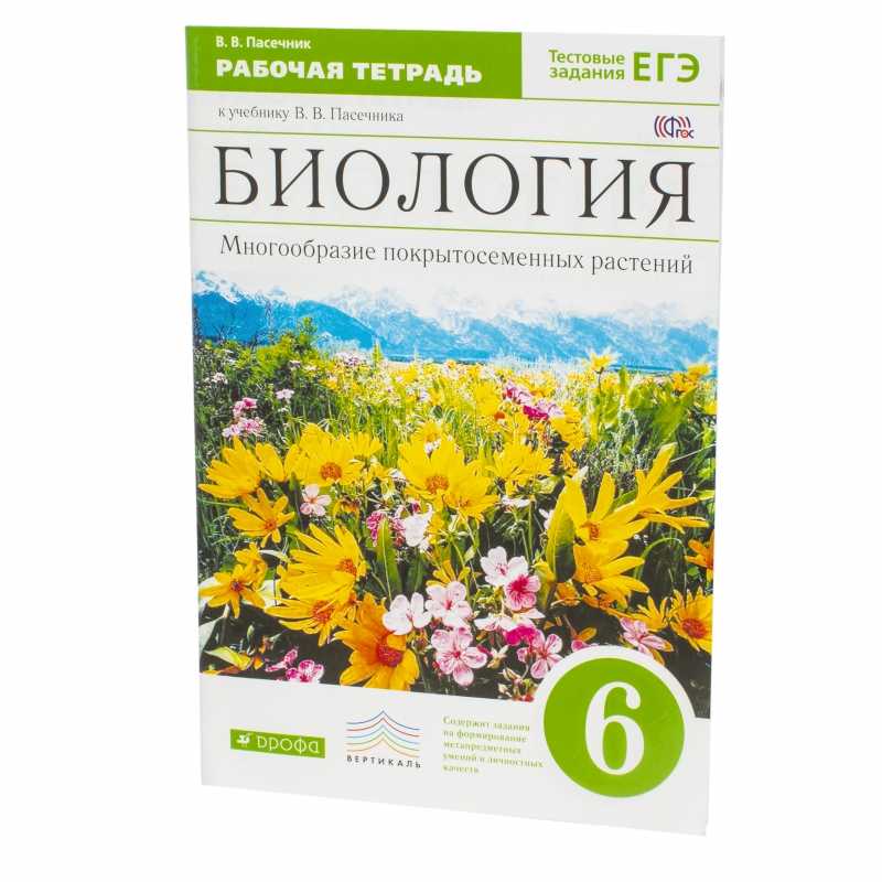 Питание бактерий и грибов