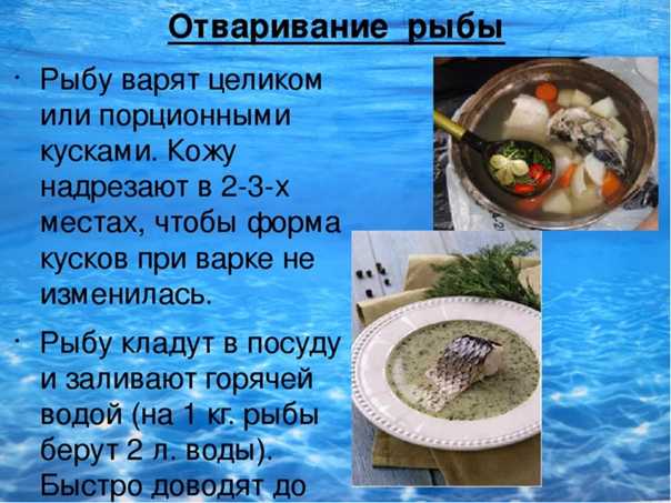 Презентация, доклад по технологии на тему рыба и морепродукты (6 класс)