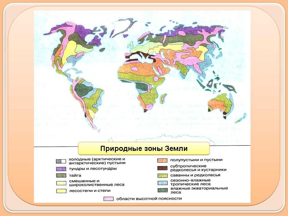 Лесотундра россии географическое положение, особенности рельефа и почв