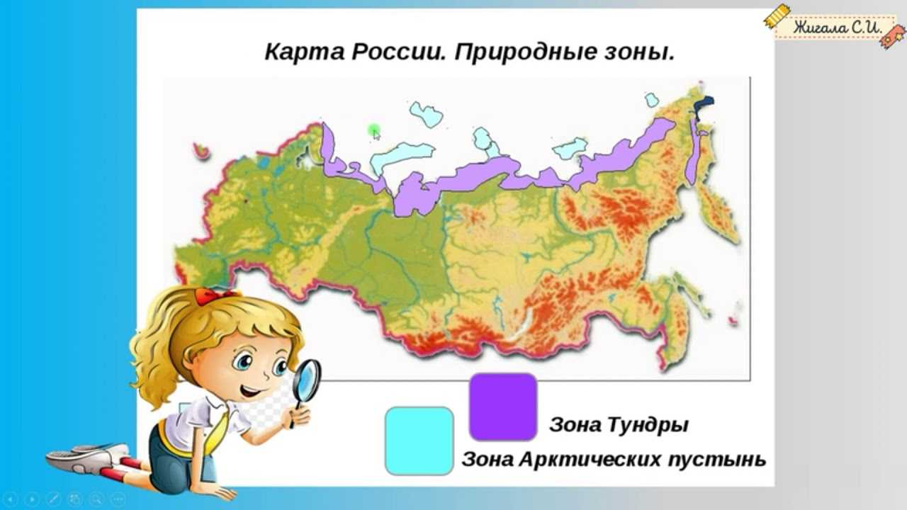 Природные зоны россии: арктическая пустыня, лесотундра, тундра