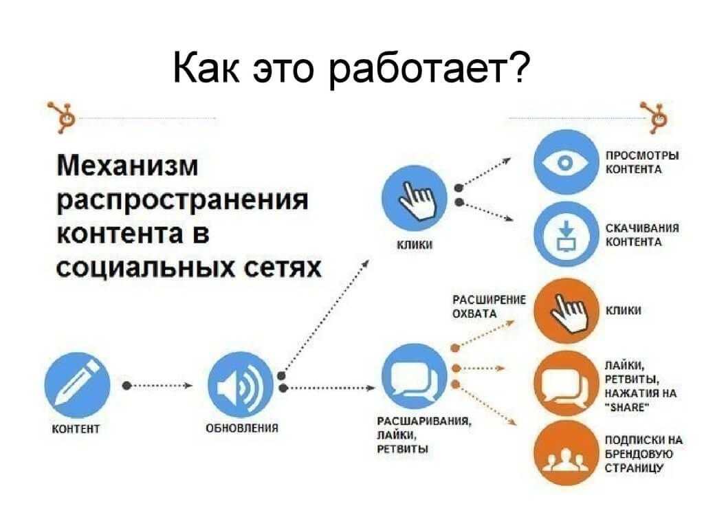 Всё об обществе с ограниченной ответственностью (ооо). понятие, учредители, документы, законы 2023-21 года