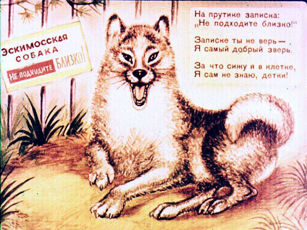 Маршак детки в клетке краткое содержание для читательского дневника