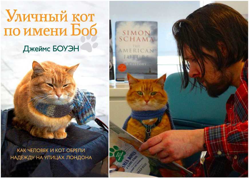 Уличный кот по имени боб. как человек и кот обрели надежду на улицах лондона скачать бесплатно в epub, fb2, pdf, txt, джеймс боуэн | флибуста