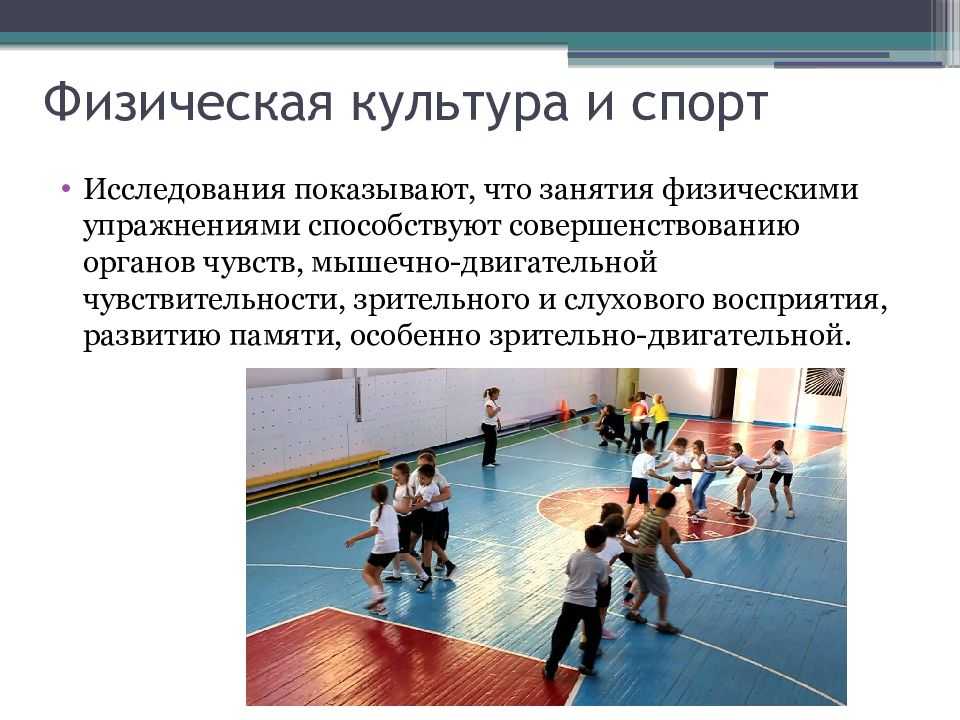 Светская культура: история и современность.