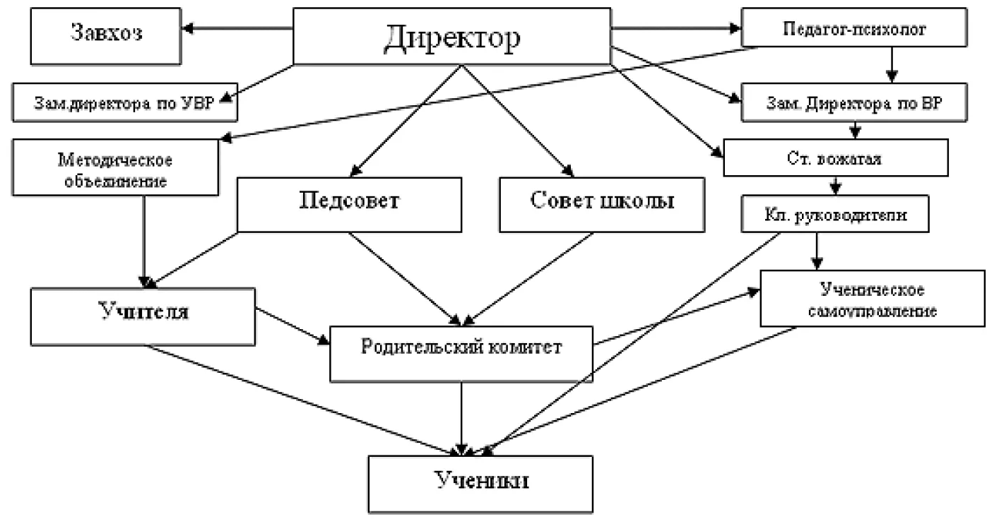 Рис система в школе