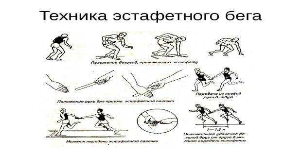 Эстафетный бег. виды и техника бега. правила и особенности