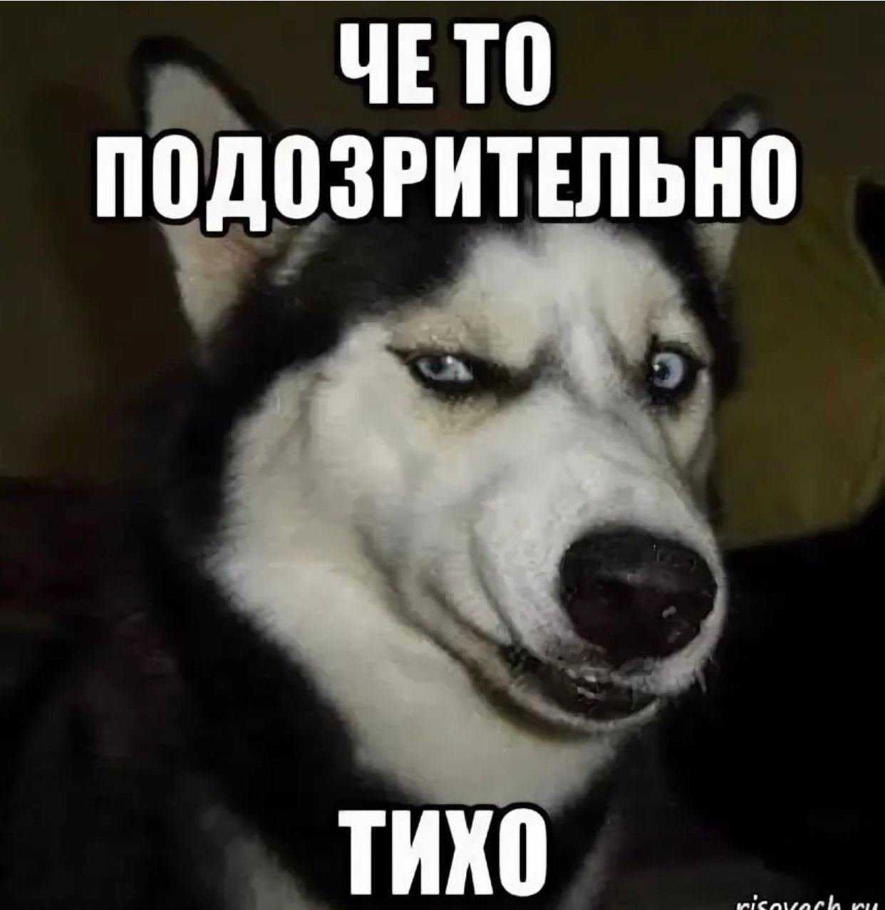 Кто вы в группе?