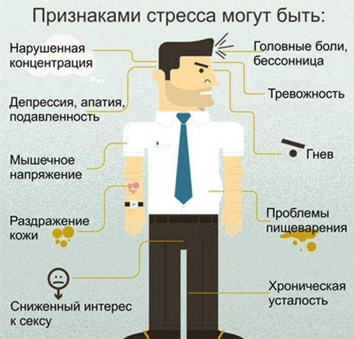 Физинфо гимназия "грейс": обж 10