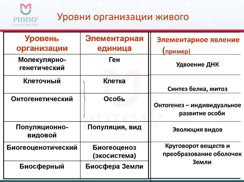 Уровни организации живой природы: таблица свойства живых организмов