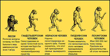 Эволюция человека