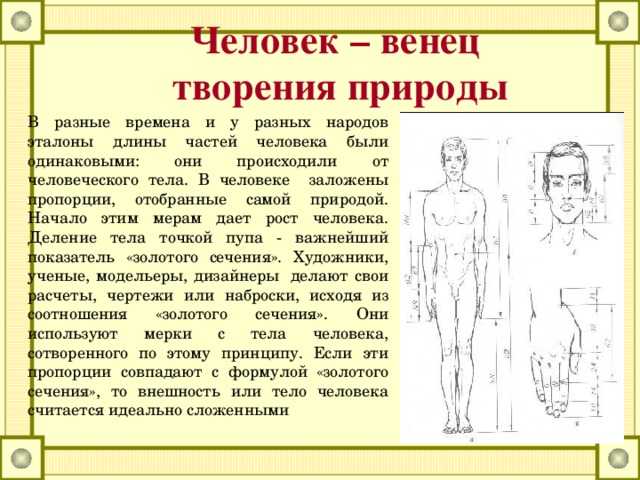 Человек, общество, природа. обществознание