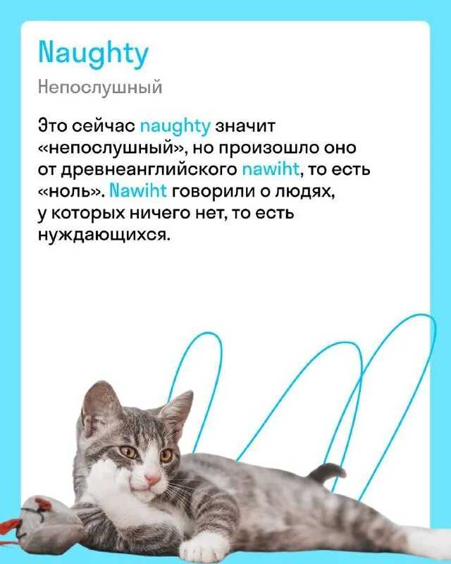 Значение слова «развитие» в 10 онлайн словарях даль, ожегов, ефремова и др. - glosum.ru