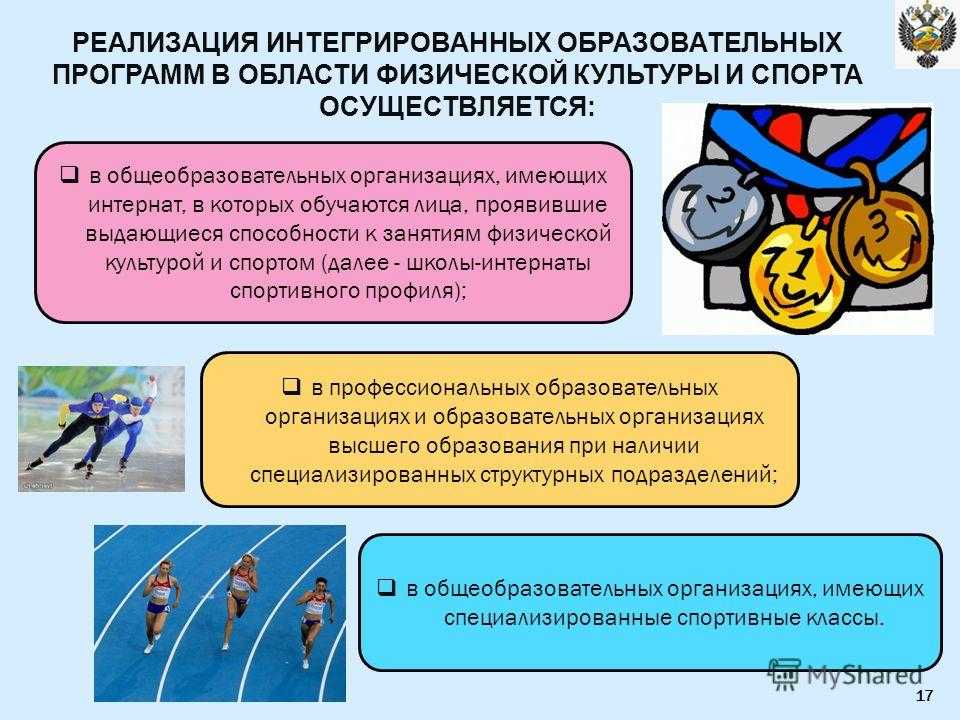Детская спортивная школа или секция: что выбрать