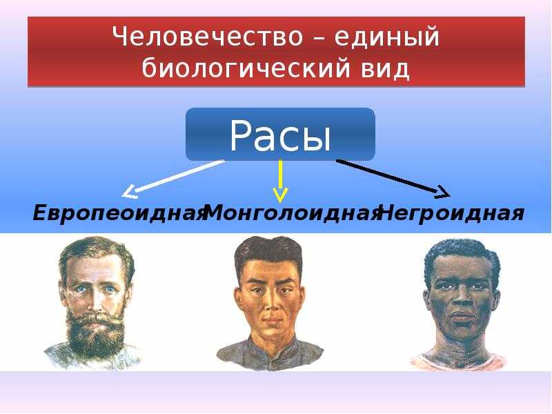 Отличие нации от народа
