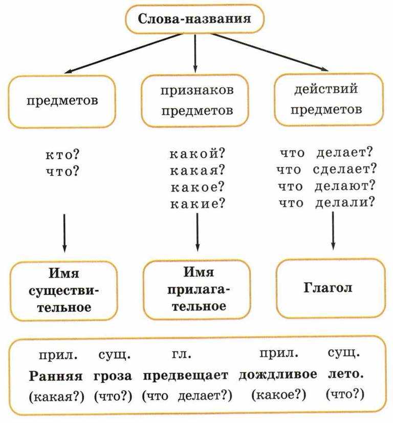 Какие бывают части речи в русском языке. таблица с примерами.