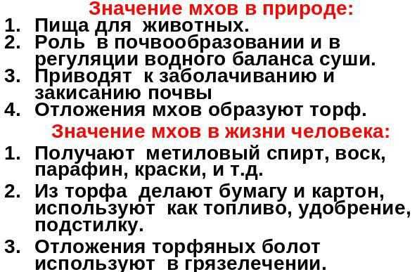 Мох. общая хаpaктеристика, размножение, классы и значение мхов > лаборатория фитоинвазий